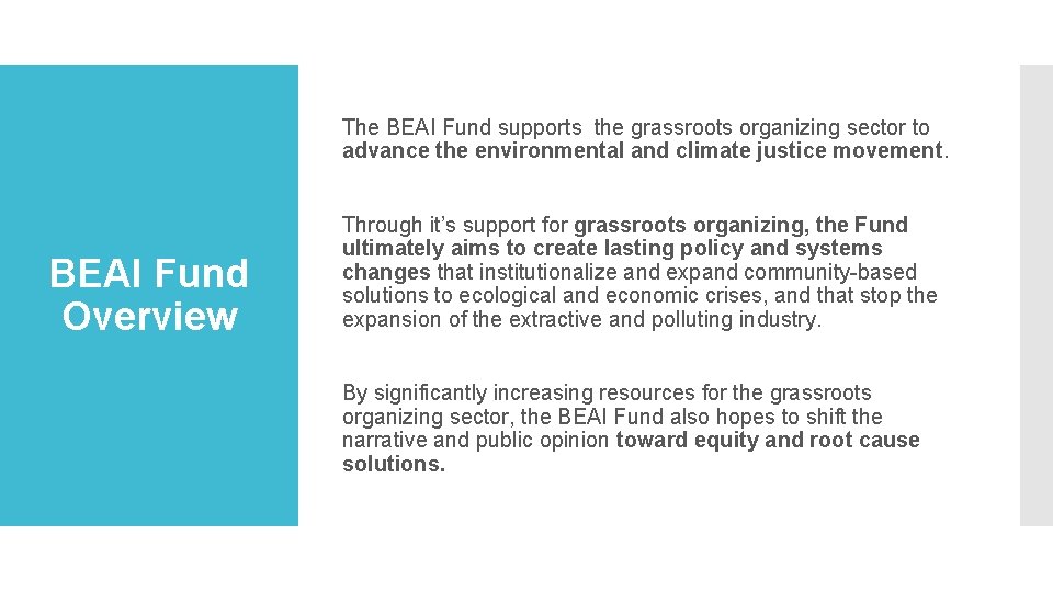 The BEAI Fund supports the grassroots organizing sector to advance the environmental and climate