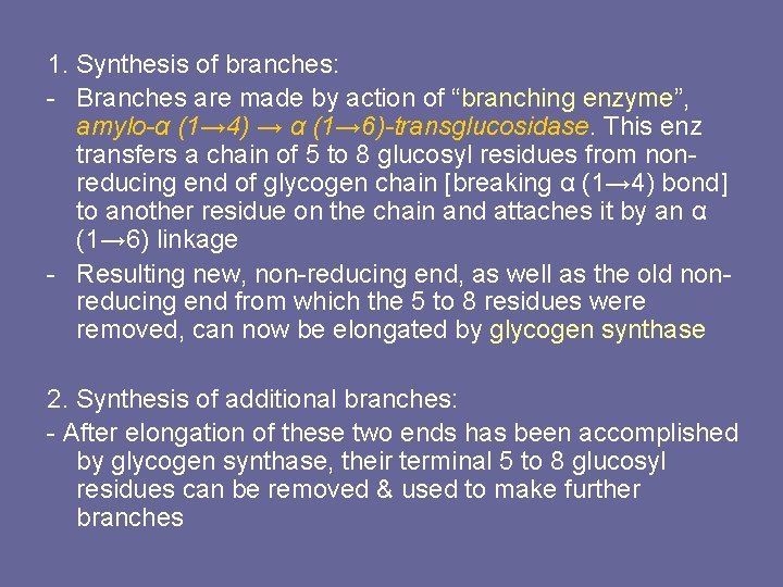 1. Synthesis of branches: - Branches are made by action of “branching enzyme”, amylo-α