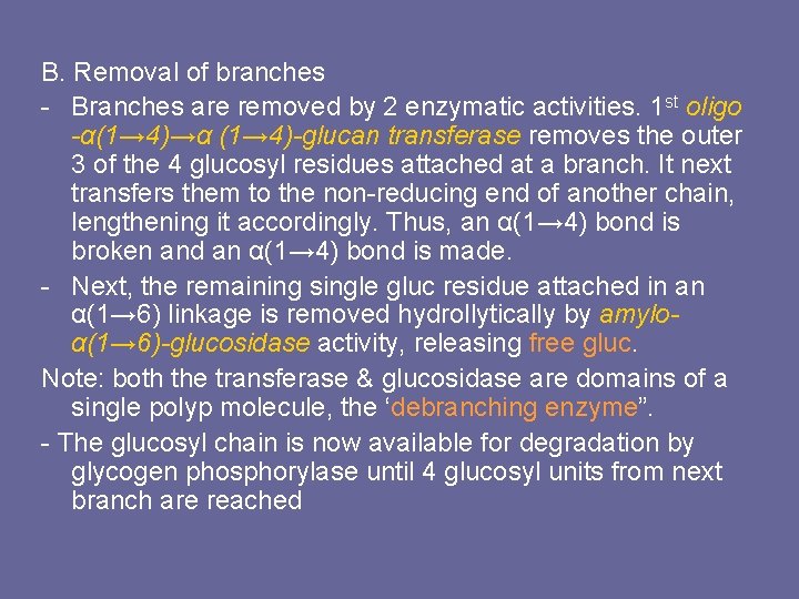 B. Removal of branches - Branches are removed by 2 enzymatic activities. 1 st