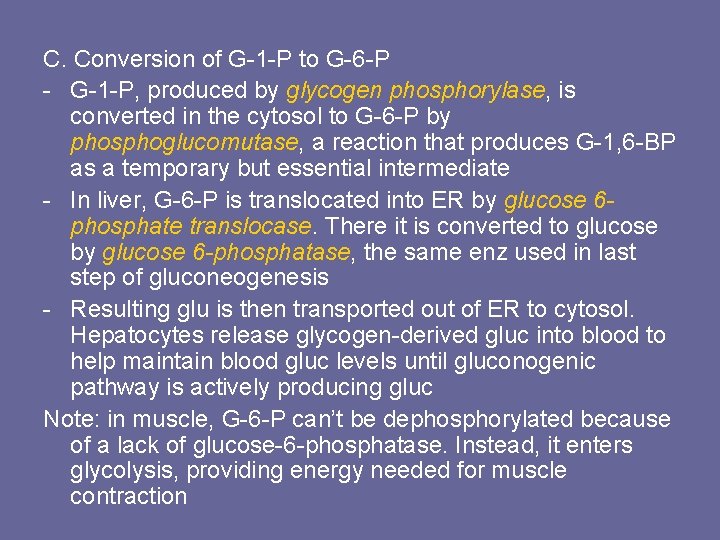 C. Conversion of G-1 -P to G-6 -P - G-1 -P, produced by glycogen