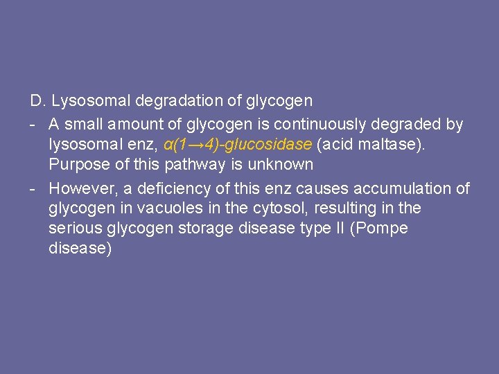 D. Lysosomal degradation of glycogen - A small amount of glycogen is continuously degraded