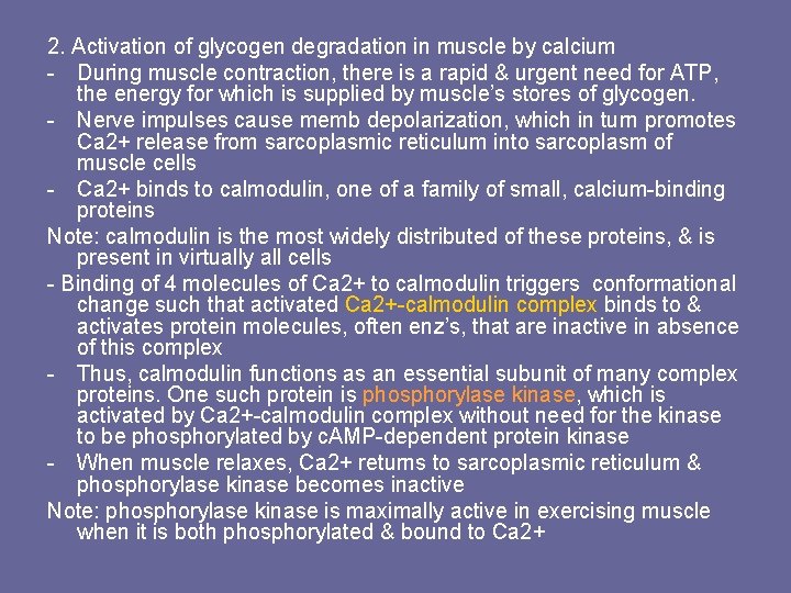 2. Activation of glycogen degradation in muscle by calcium - During muscle contraction, there