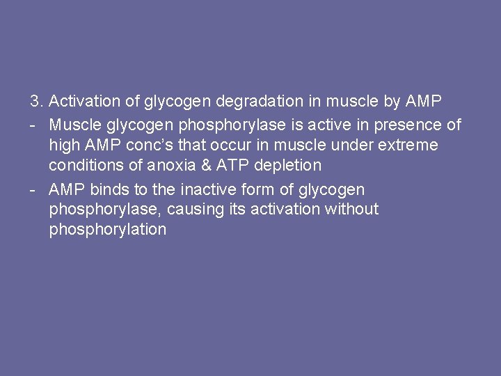 3. Activation of glycogen degradation in muscle by AMP - Muscle glycogen phosphorylase is