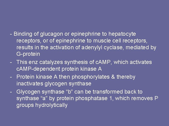 - Binding of glucagon or epinephrine to hepatocyte receptors, or of epinephrine to muscle
