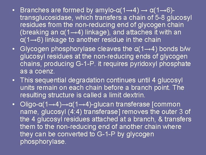  • Branches are formed by amylo-α(1→ 4) → α(1→ 6)transglucosidase, which transfers a