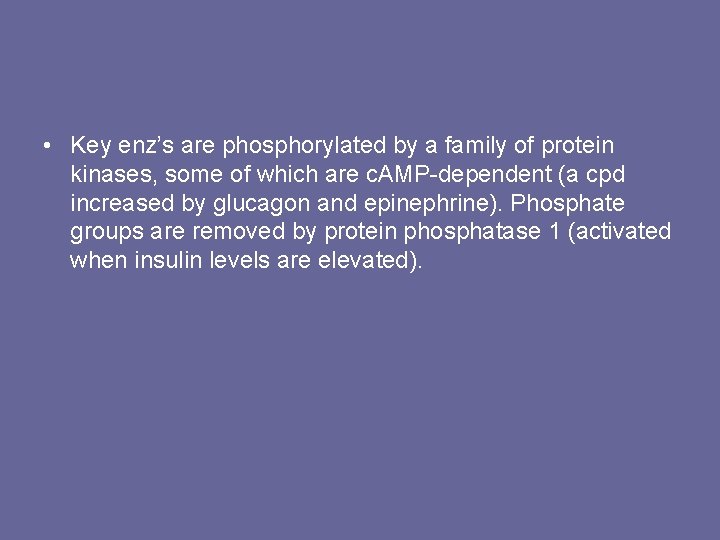  • Key enz’s are phosphorylated by a family of protein kinases, some of