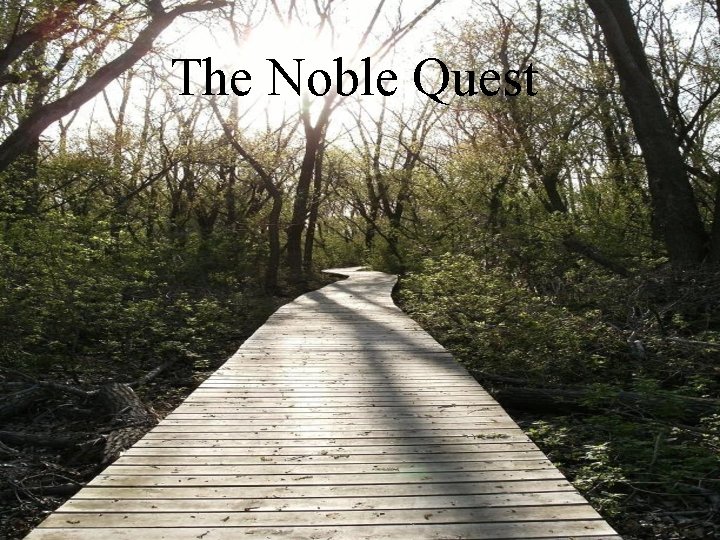 The Noble Quest 