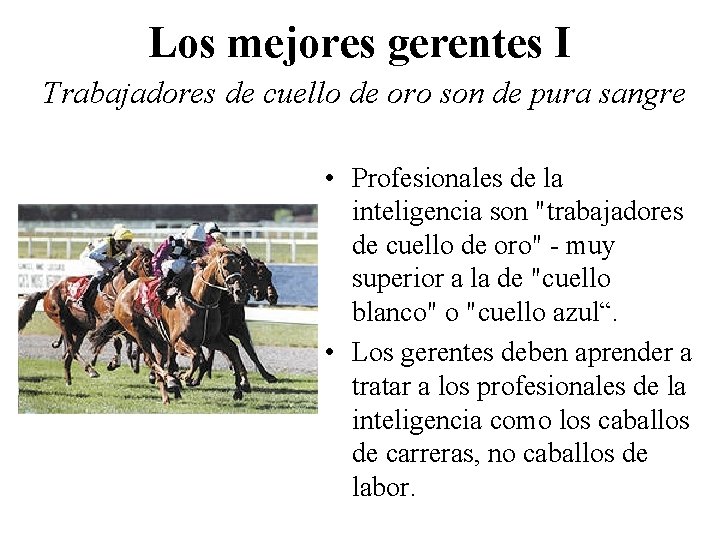 Los mejores gerentes I Trabajadores de cuello de oro son de pura sangre •