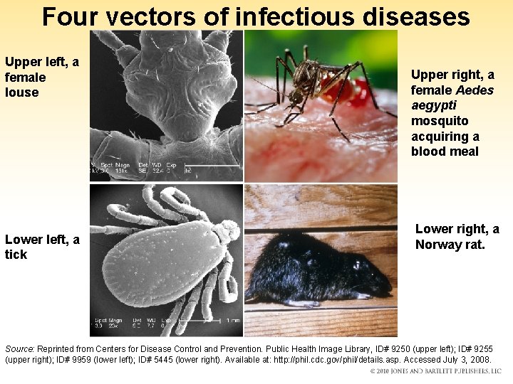 Four vectors of infectious diseases Upper left, a female louse Lower left, a tick