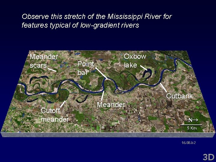 Observe this stretch of the Mississippi River for features typical of low-gradient rivers Meander