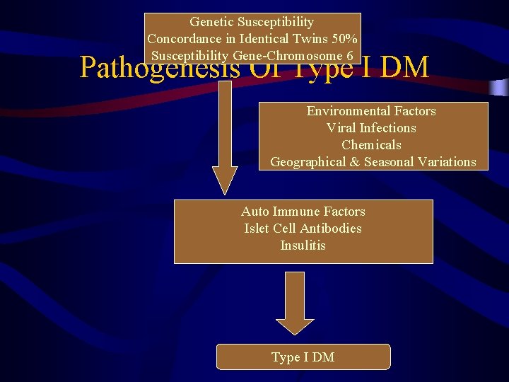 Genetic Susceptibility Concordance in Identical Twins 50% Susceptibility Gene-Chromosome 6 Pathogenesis Of Type I