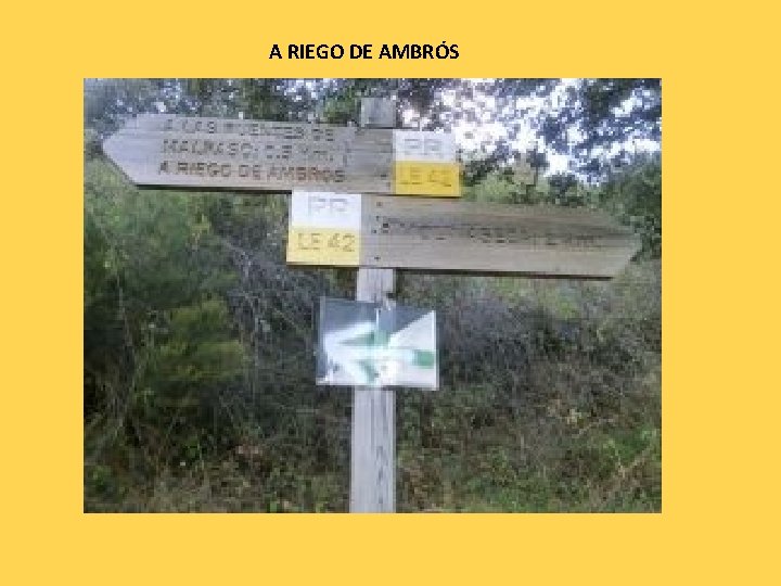 A RIEGO DE AMBRÓS 