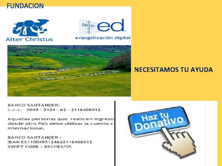 FUNDACION NECESITAMOS TU AYUDA 