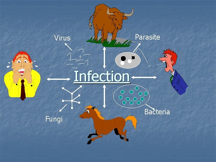 Parasite Virus Infection Fungi Bacteria 