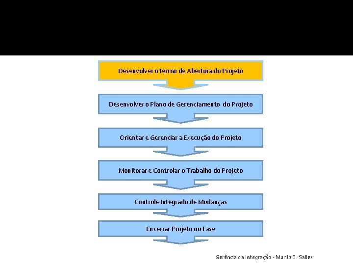 Desenvolver o termo de Abertura do Projeto Desenvolver o Plano de Gerenciamento do Projeto