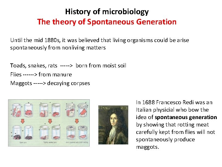 History of microbiology The theory of Spontaneous Generation Until the mid 1880 s, it