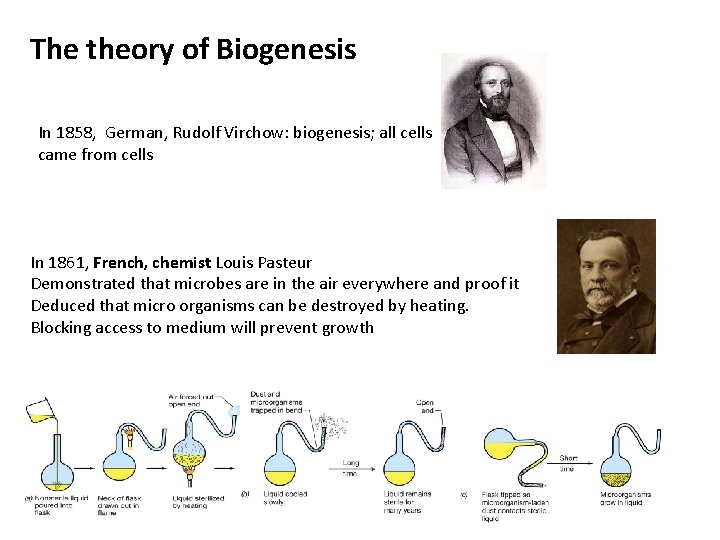 The theory of Biogenesis In 1858, German, Rudolf Virchow: biogenesis; all cells came from
