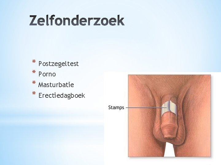 * Postzegeltest * Porno * Masturbatie * Erectiedagboek 