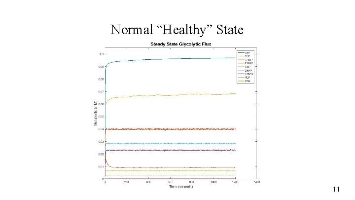 Normal “Healthy” State 11 