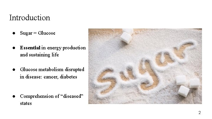 Introduction ● Sugar = Glucose ● Essential in energy production and sustaining life ●