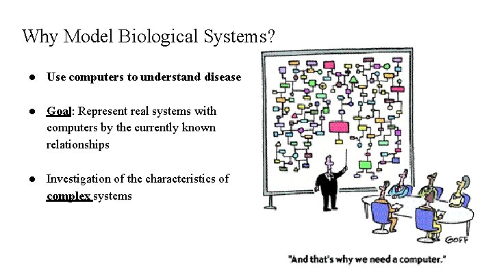 Why Model Biological Systems? ● Use computers to understand disease ● Goal: Represent real