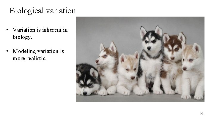 Biological variation • Variation is inherent in biology. • Modeling variation is more realistic.