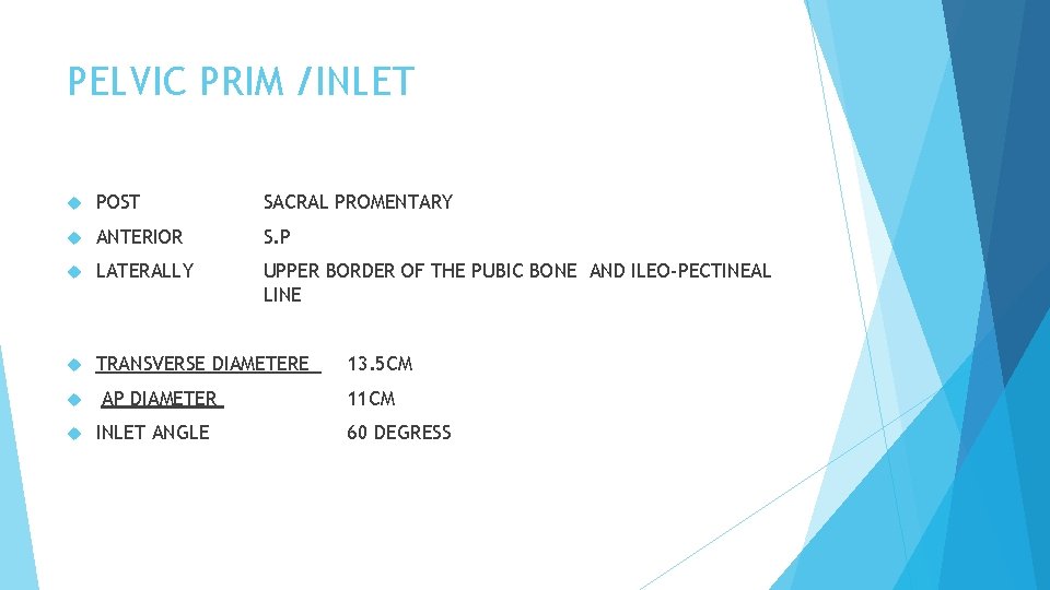 PELVIC PRIM /INLET POST SACRAL PROMENTARY ANTERIOR S. P LATERALLY UPPER BORDER OF THE