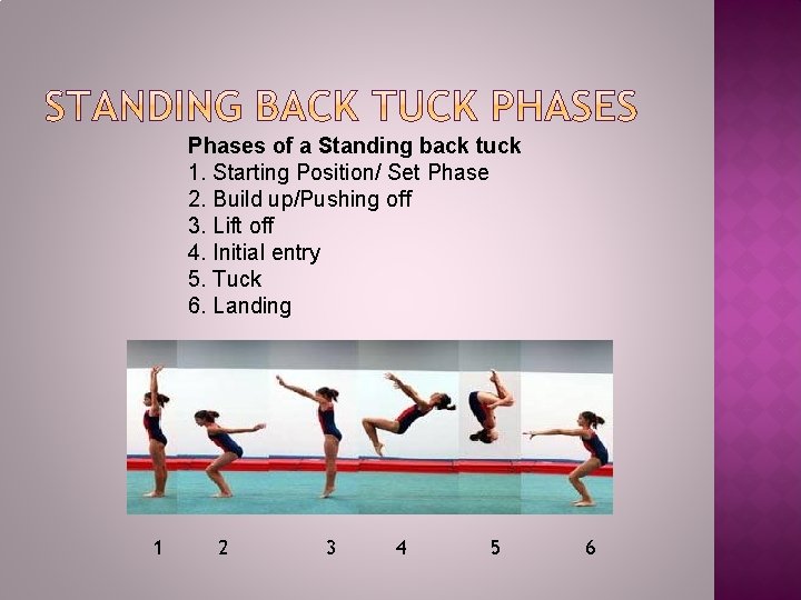 Phases of a Standing back tuck 1. Starting Position/ Set Phase 2. Build up/Pushing