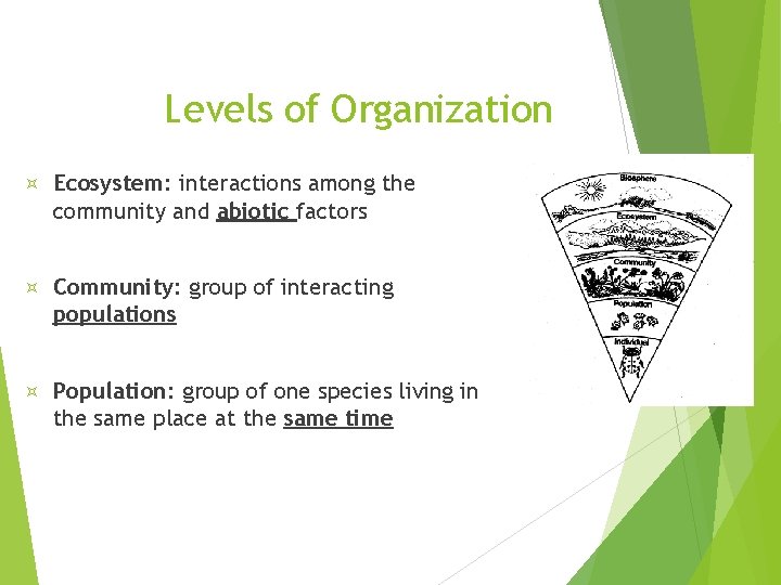 Levels of Organization Ecosystem: interactions among the community and abiotic factors Community: group of