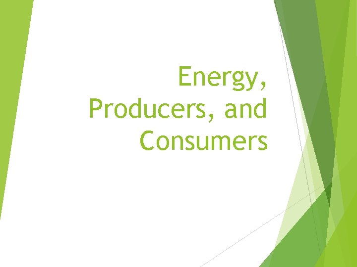 Energy, Producers, and Consumers 