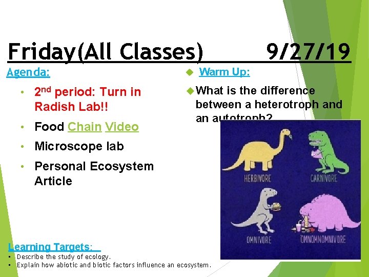 Friday(All Classes) Agenda: • 2 nd period: Turn in Radish Lab!! • Food Chain