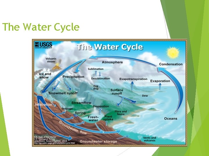 The Water Cycle 