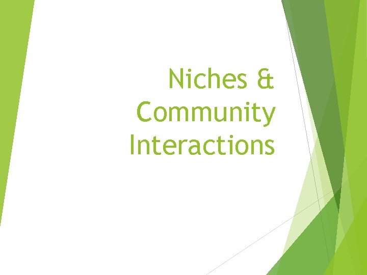 Niches & Community Interactions 