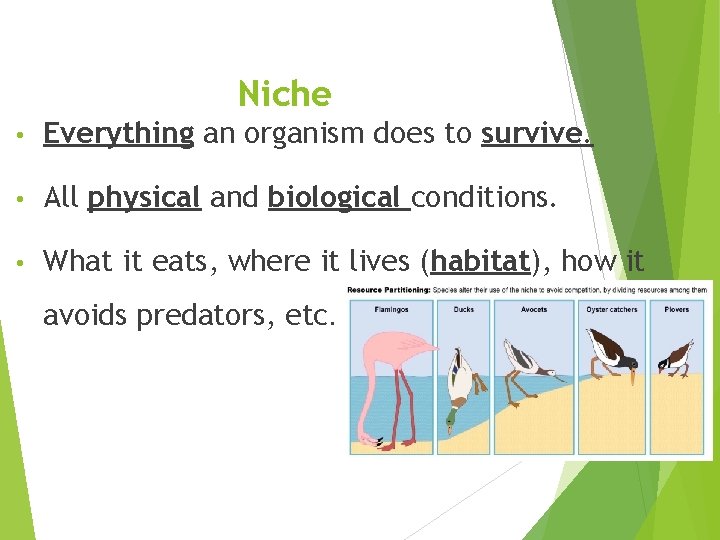 Niche • Everything an organism does to survive. • All physical and biological conditions.