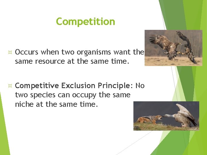 Competition Occurs when two organisms want the same resource at the same time. Competitive