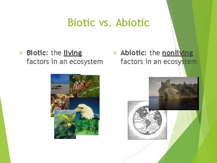 Biotic vs. Abiotic Biotic: the living factors in an ecosystem Abiotic: the nonliving factors