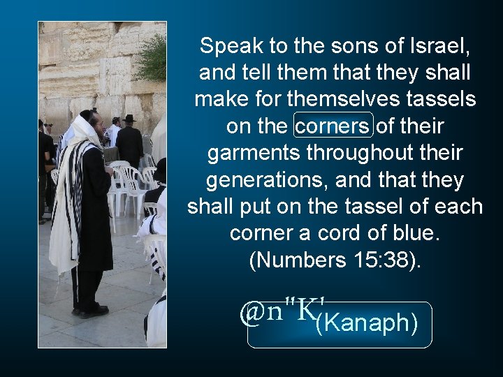 Speak to the sons of Israel, and tell them that they shall make for