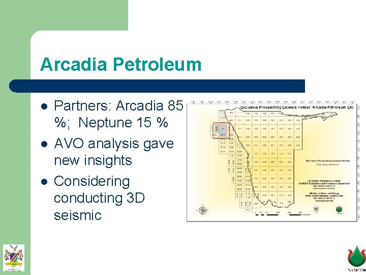 Arcadia Petroleum l l l Partners: Arcadia 85 %; Neptune 15 % AVO analysis