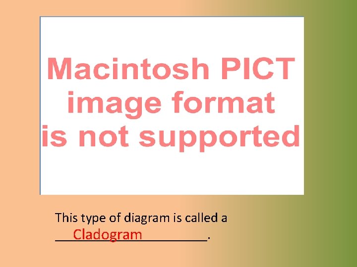 This type of diagram is called a ___________. Cladogram 