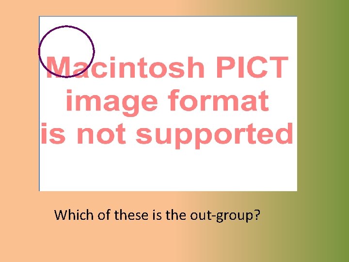 Which of these is the out-group? 
