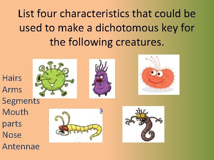 List four characteristics that could be used to make a dichotomous key for the
