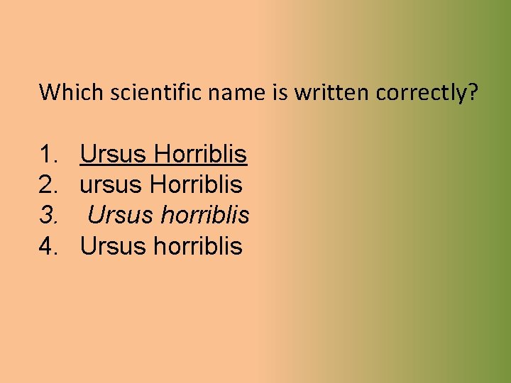 Which scientific name is written correctly? 1. Ursus Horriblis 2. ursus Horriblis 3. Ursus