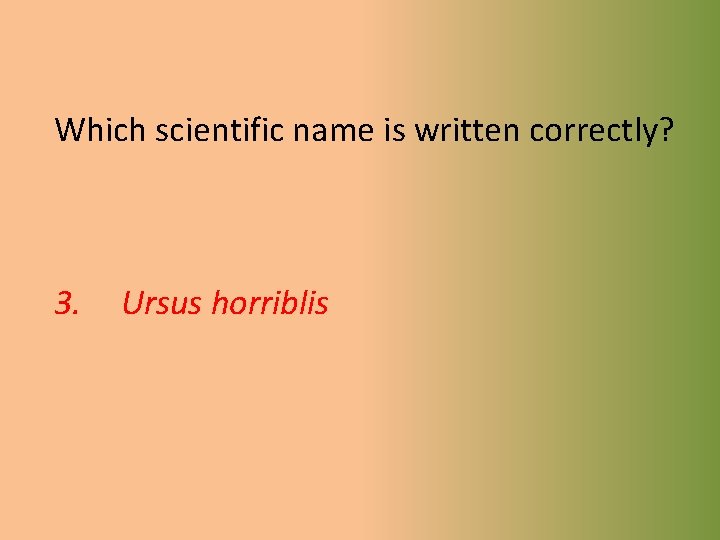 Which scientific name is written correctly? 1. Ursus Horriblis 2. ursus Horriblis 3. Ursus