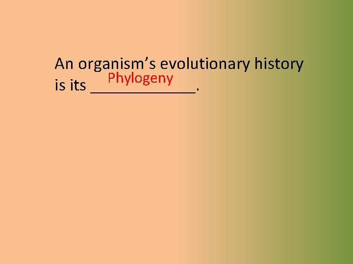 An organism’s evolutionary history Phylogeny is its ______. 
