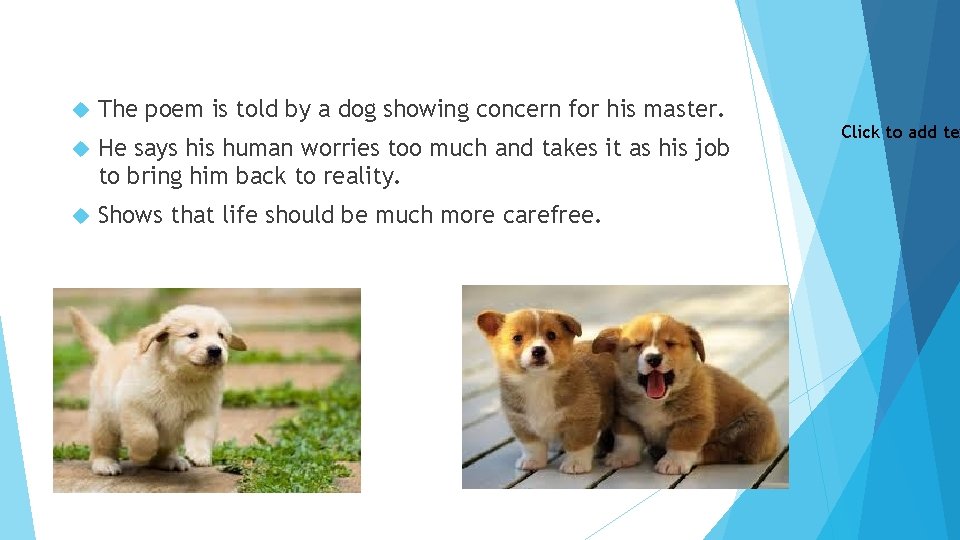  The poem is told by a dog showing concern for his master. He