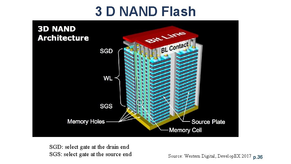 3 D NAND Flash SGD: select gate at the drain end SGS: select gate