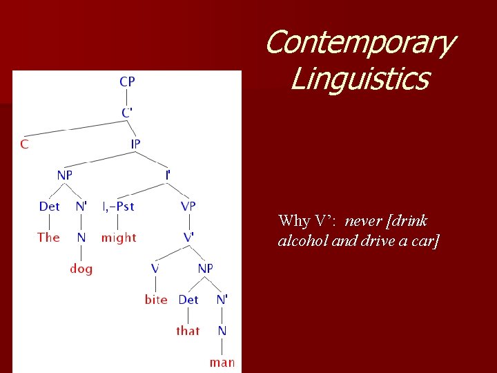 Contemporary Linguistics Why V’: never [drink alcohol and drive a car] 