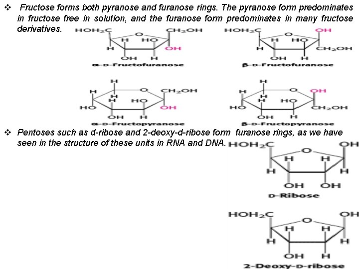 v Fructose forms both pyranose and furanose rings. The pyranose form predominates in fructose