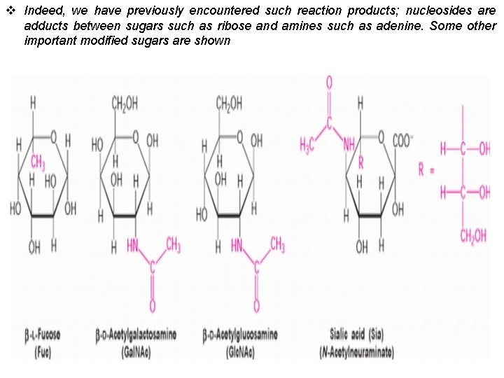 v Indeed, we have previously encountered such reaction products; nucleosides are adducts between sugars