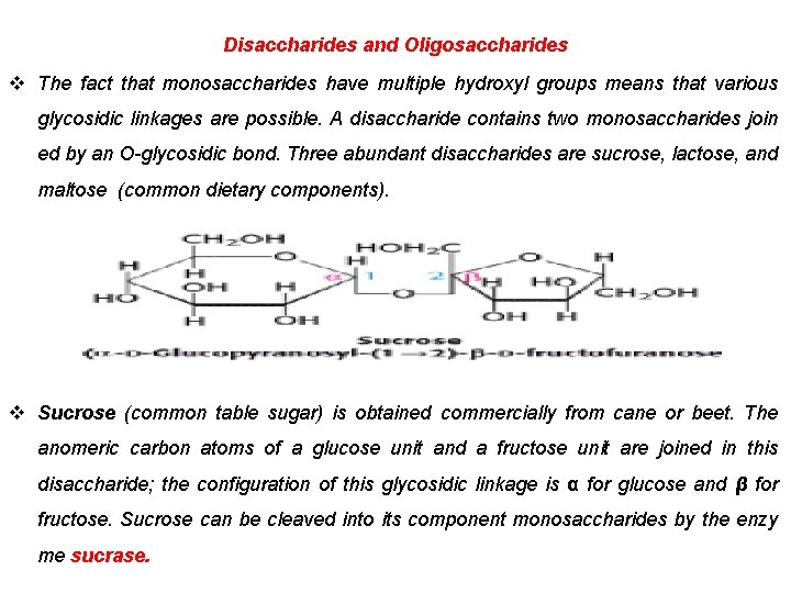 Disaccharides and Oligosaccharides v The fact that monosaccharides have multiple hydroxyl groups means that